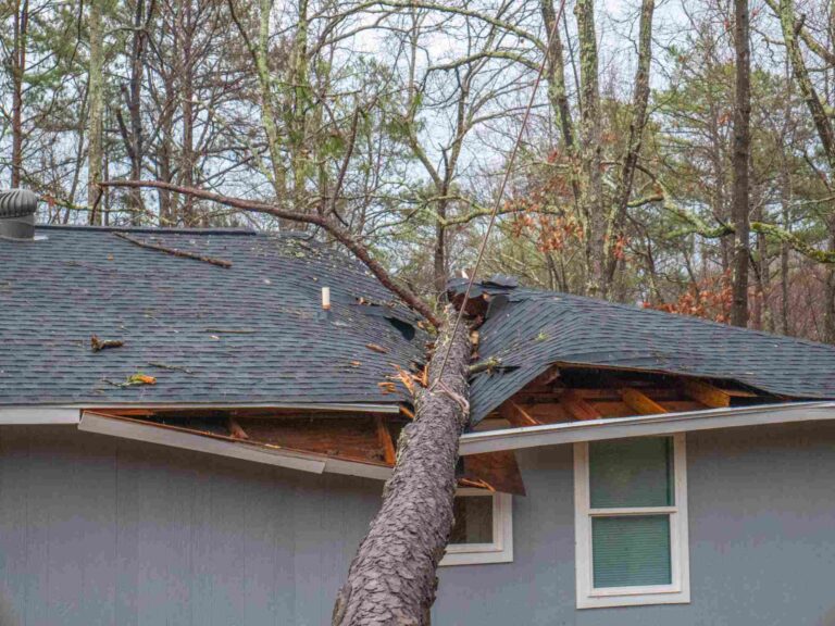 Tree fallen on residential roof in Eastern Ohio causing major storm damage and structural roof collapse requiring emergency restoration services.